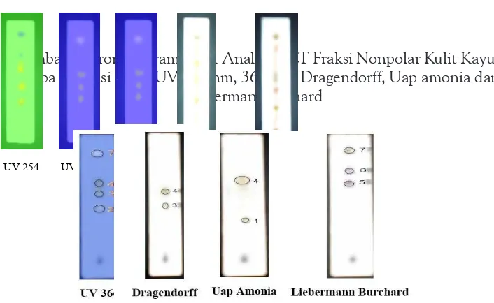 Gambar 8. Kromatogram Hasil Analisis KLT Fraksi Nonpolar Kulit KayuMimba Deteksi Sinar UV 254 nm, 366 nm, Dragendorff, Uap amonia dan