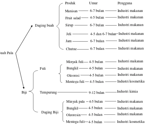 Gambar 3.  Skema hasil olahan bagian-bagian buah pala. 