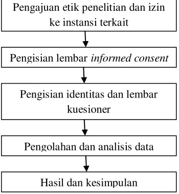 Gambar 3. Alur Penelitian 