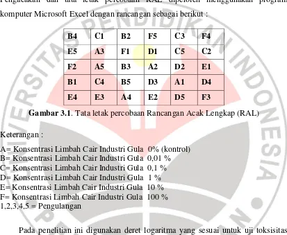 Gambar 3.1. Tata letak percobaan Rancangan Acak Lengkap (RAL)  