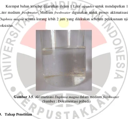 Gambar 3.5. Aklimatisasi Daphnia magna dalam medium freshwater 