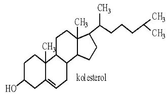 Gambar 7. Struktur kimia kolesterol 