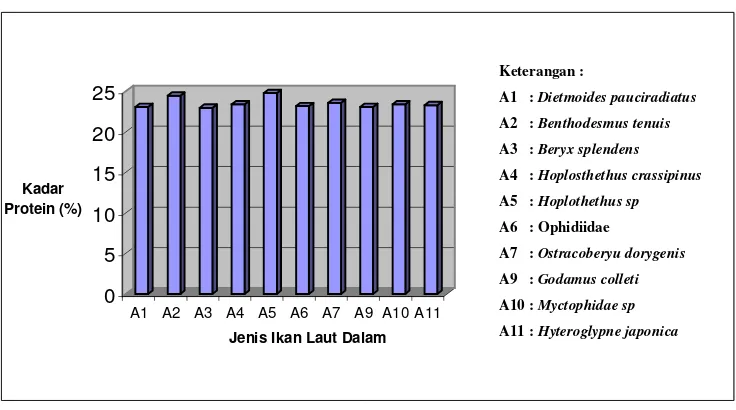 Gambar 5. Histogram persentase protein dalam ikan laut dalam  