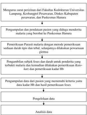 Gambar 5. Alur Penelitian 