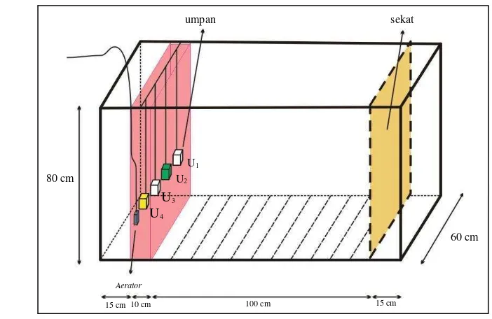 Gambar 4  Akuarium perlakuan. 