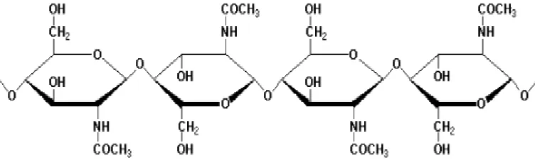 Gambar 1. Struktur Molekul Kitin 