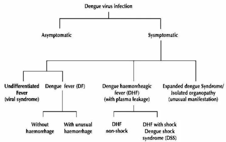 Gambar 3. Manifestasi Klinis Infeksi Virus Dengue (WHO, 2011).
