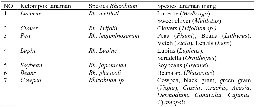 Tabel 1.  Simbiosis antara spesies bakteri Rhizobium dengan legume sebagai tanaman inang yangbersifat spesifik