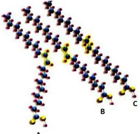 Gambar 3.  Struktur Kimia dari Asam Lemak jenuh dan Tidak JenuhKeterangan:A. Cis-Asam Lemak Tak Jenuh (Asam Oleat);B