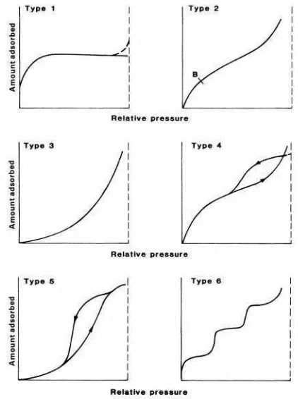 Gambar 3. Grafik adsorpsi isotermal (Allen, 1981).