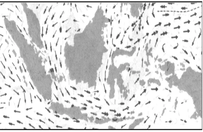 Gambar 1.  Pola arus permukaan pada musim barat di perairan                        Indonesia (Wyrtki, 1961) 