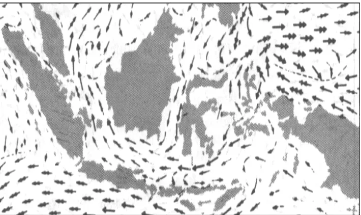 Gambar 3.  Pola arus permukaan pada musim peralihan II                    Bulan September di perairan Indonesia (Wyrtki, 1961) 