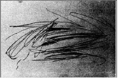 Gambar 1: Garis coreng-moreng tak beraturan(Sumber: Lowenfield dalam Retnowati, 2009:84,  Pengembangan Instrumen Penilaian Seni Lukis Anak di Sekolah Dasar) 