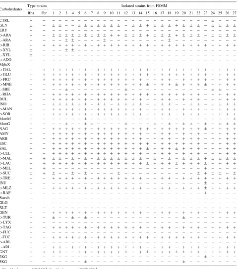 Table 1.Carbohydrate Utilization Patterns of Two LAB Type Strains and Strains Isolated from FSMM