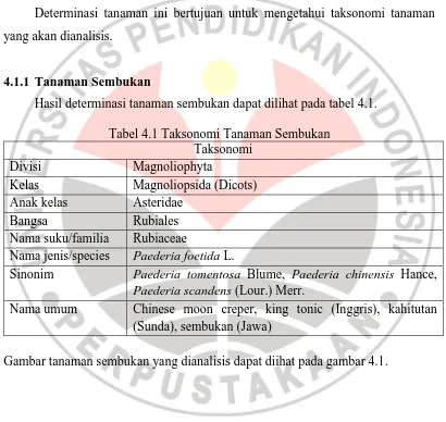 Tabel 4.1 Taksonomi Tanaman Sembukan Taksonomi 