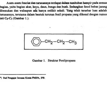 Gambar 1. Struktur Fenilpropana 