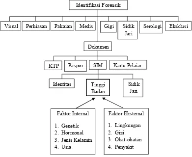Gambar 1. Kerangka teori (Idries dan Tjiptomartono, 2011; Supariasa, 2002; Setiyohadi, 2007; Fauci et al., 2008; Tortora dan Derrickson, 2011; Schteingart, 2012) 
