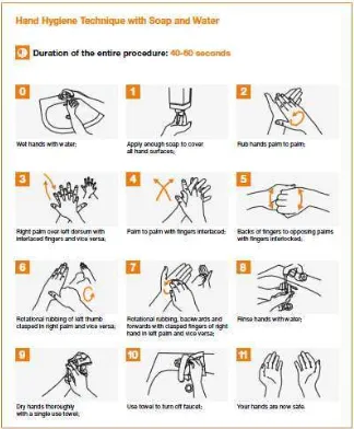 Gambar 3. Cara Mencuci Tangan Dengan Sabun Cair Antiseptik  (Sumber: World Health Organization, 2009) 