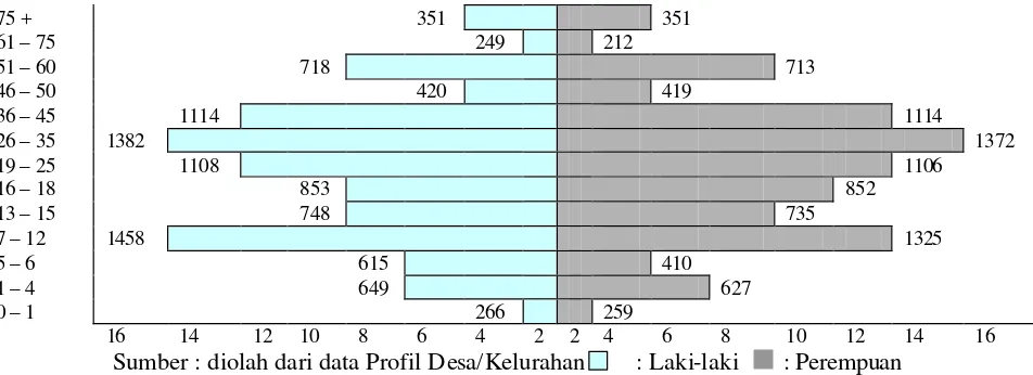 Gambar 3. Piramida Penduduk Kelurahan Cigadung berdasarkan      Usia dan jenis Kelamin Tahun 2003 (per100 orang)