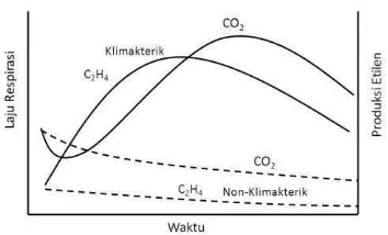 Gambar 1. Perbedaan Respon Buah Klimakterik dan Nonklimakterik Terhadap Laju Respirasi dan Produksi Etilen 