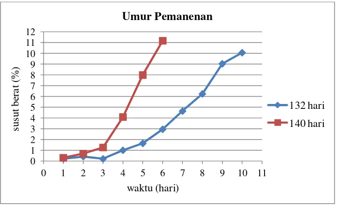 Gambar 1. Susut Berat Buah pada Berbagai Umur Pemanenan 