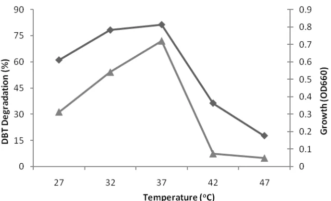 FIG. 2. Effects of initial pH on DBT degradation by growing cells of KWN5 strain.   KWN5 was cultivated in MSSF medium with 200 ppm DBT as sole source of sulfur at various pH for 96 hours