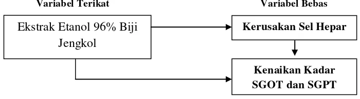 Gambar 5. Kerangka Konsep 