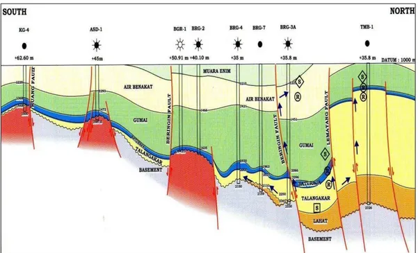 Gambar 4. Petroleum system cekungan Sumatera Selatan (Pertamina, 2013) 