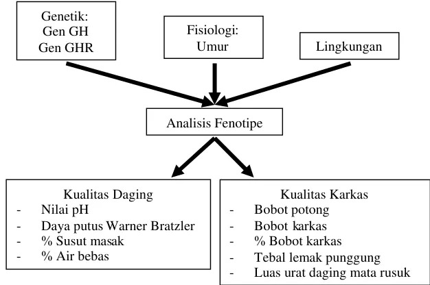 Gambar 1. Kerangka pemikiran penelitian.