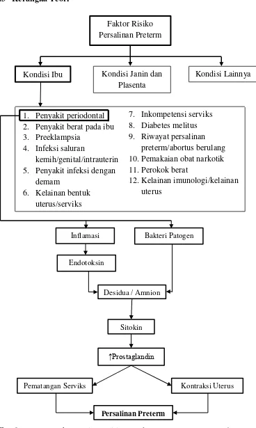 Gambar 5. Kerangka Teori Penelitian (Budayasa, 2012; Kumar et al., 2013; Parihar et al., 2015) 
