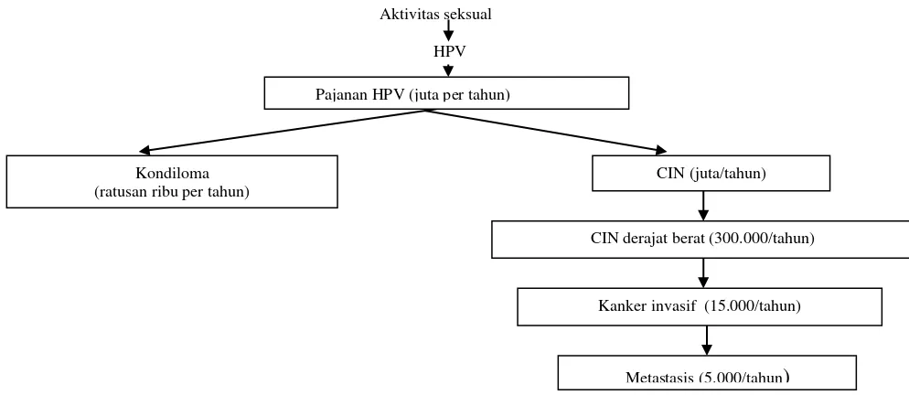 Gambar 5. Patogenesis Kanker Serviks (Kumar et al, 2007) 