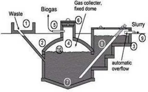 Gambar 2 . Reaktor Jenis Fixed Dome Sumber : www.thinksmartbrain.blogspot.com 