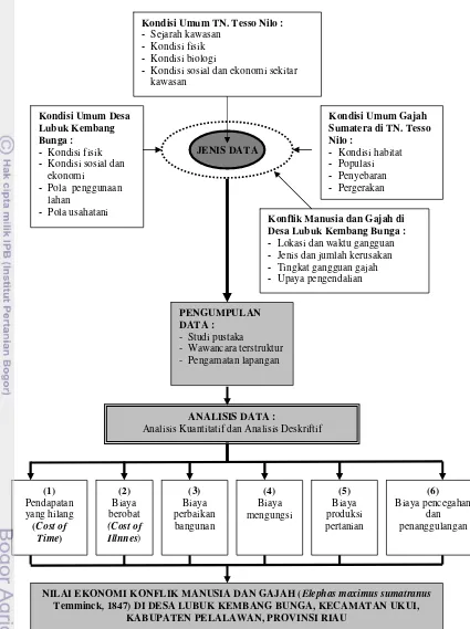 Gambar 3 Sistematika penelitian nilai ekonomi konflik manusia dan gajah di 