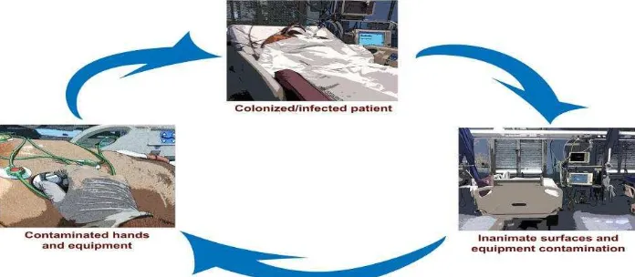 Gambar 1. Peran Kontaminasi Lingkungan ICU terhadap Infeksi (Russotto et al, 2015) 