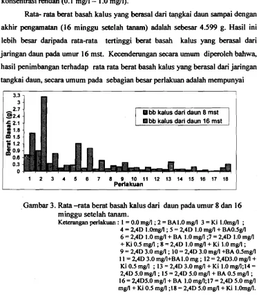 Gambar 3. Rata -rats berat basah kalus dari daun pada umur 8 dan 16 
