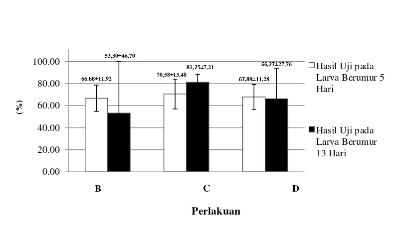 Gambar 6. Rata-Rata Kelangsungan Hidup Larva yang Diuji setelah 5 Hari dan 13 Hari Pasca Menetas  