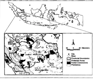 Figure 1  Site  location.  Dark  and  light  polygons  represent  forest  concessions and plantations respectively. The Berbak NP is  located on eastern coastal region. 