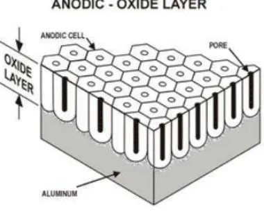 Gambar 2.6 Struktur permukaan lapisan oksida hasil anodizing. (Hutasoit, 2008) 