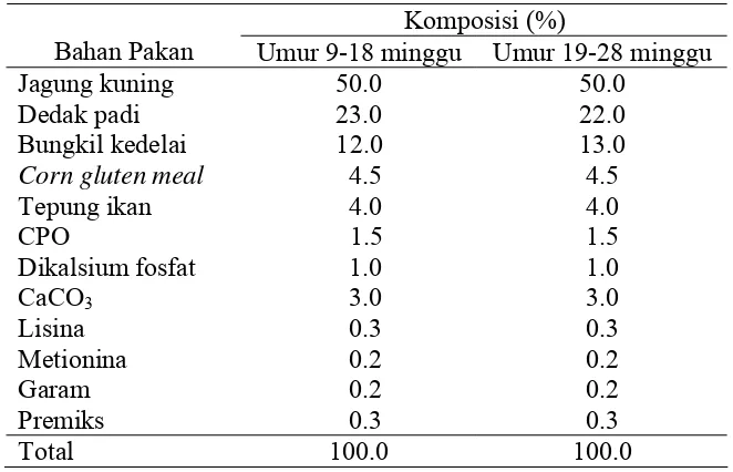 Tabel 5  Susunan ransum ayam petelur yang digunakan. 