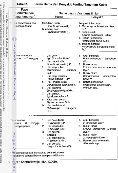 Tabel 3. Jenis Hama dan Penyakit Penting Tanaman Kubis 