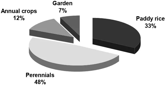 Figure 1:  Allocation of  the agricultural area to different crops (Source: STORMA A3 Village Survey)  