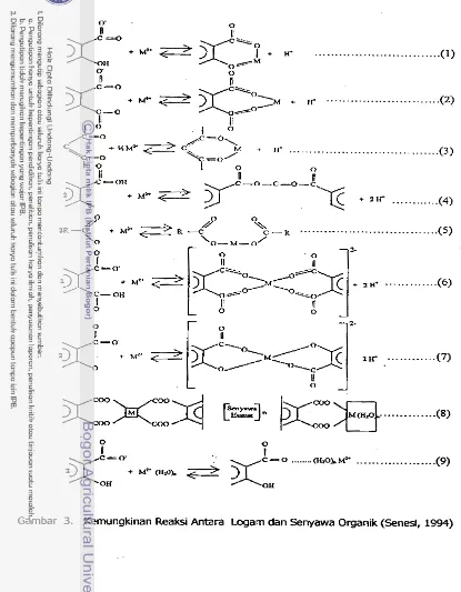 Gambar 3. Kemungkinan RealiY Antara Logam dan Senyawa Organik (Senesi, 1994) 