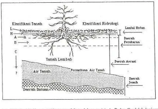 Gambar 1.4. Klasifikasi lapisan tanah menurut ilmu tanah dan ilmu hidrologi 