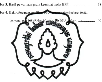Gambar 3. Hasil pewarnaan gram keempat isolat BPF