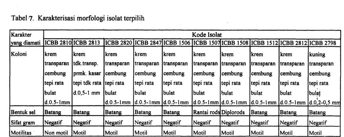 Tabel .7. Karakterisasi morfologi isolat terpilih 