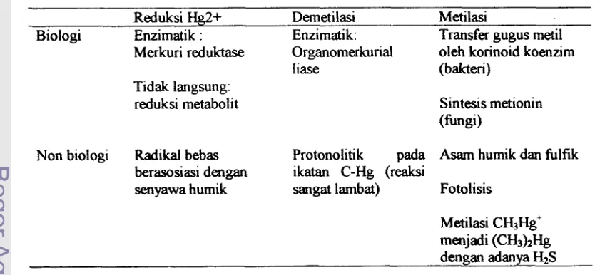 Tabel 1. Mekanisme transformasi merkuri (Barkay, 1992). 