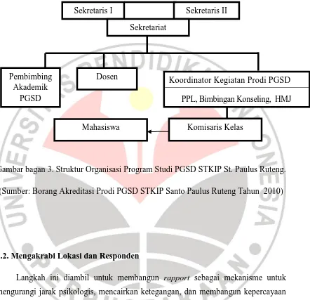 Gambar bagan 3. Struktur Organisasi Program Studi PGSD STKIP St. Paulus Ruteng. 