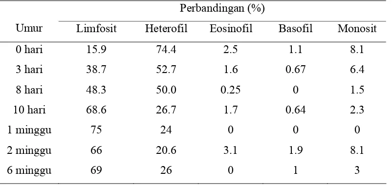 Tabel 4  Perbandingan jumlah leukosit berdasarkan umur ayam 