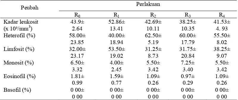 Tabel 13  Rataan leukosit dan diferensial leukosit ayam broiler yang diberi                 bawang putih, kunyit dan mineral zink selama 35 hari 