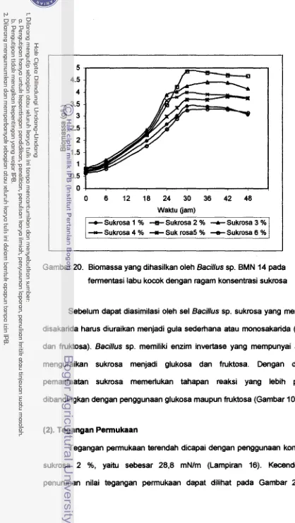 Gambar 20. Bimassa yang dihasilkan oreh BaciIius sp. BMN 14 pada 